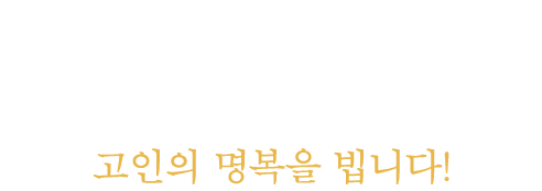 visual